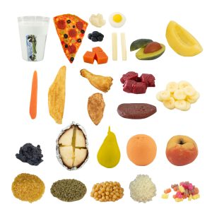 26 FOOD REPLICA