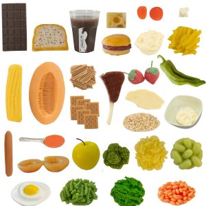 30 FOOD REPLICA