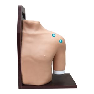 ELECTRONIC SHOULDER JOINT INTRACAVITARY INJECTION SIMULATOR