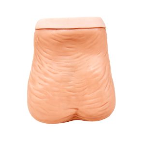 TESTIS EXAMINATION MODEL