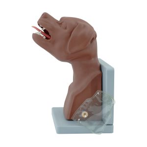 KÖPEK ENTÜBASYON SİMÜLATÖRÜ