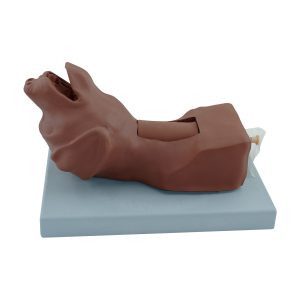 KÖPEK KRİKOTİROTOMİ (TRAKEOSTOMİ) SİMÜLATÖRÜ